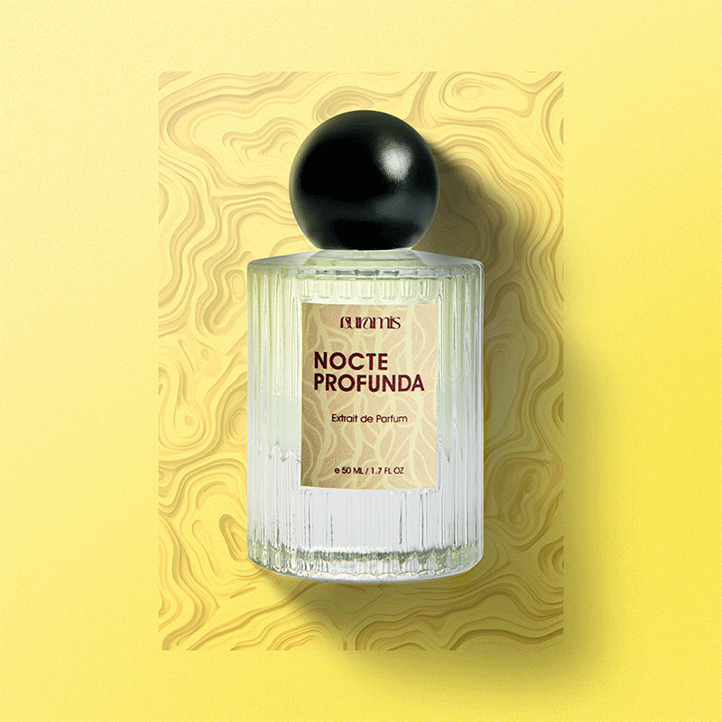 Nocte Profunda