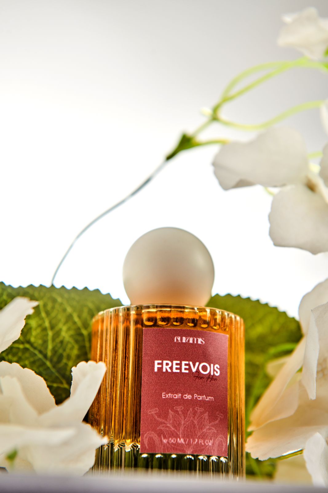 Freevois