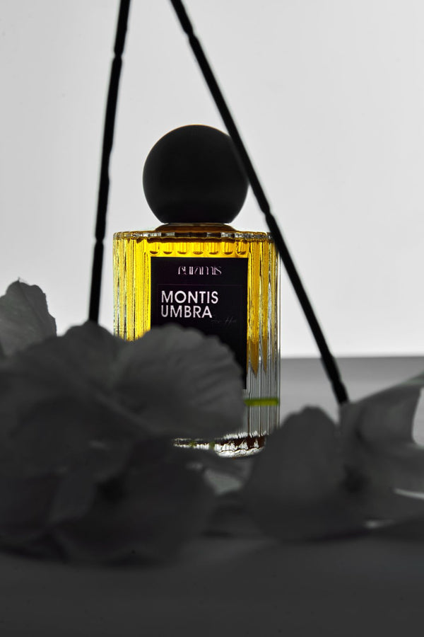 Montis Umbra